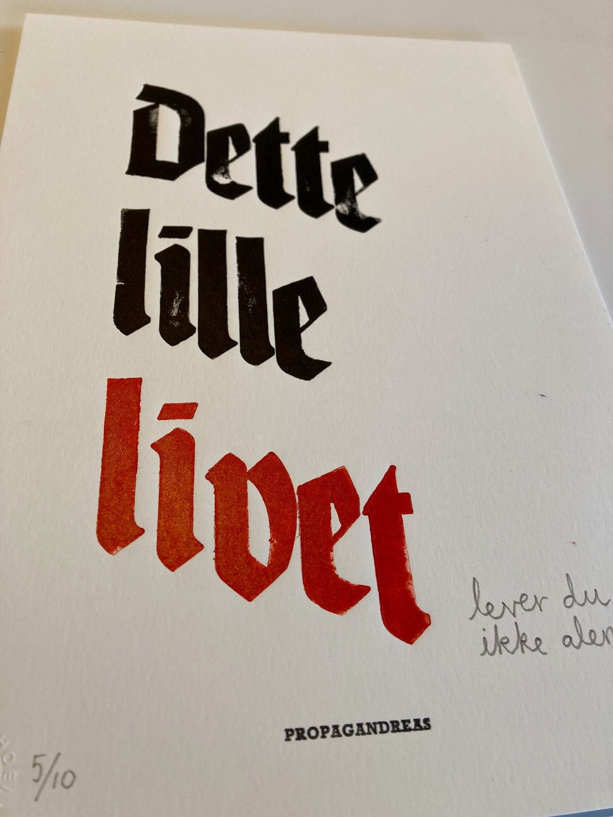 Andreas Brekke: Dette lille livet