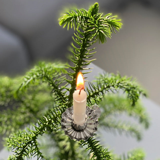 Juletrelysholdere