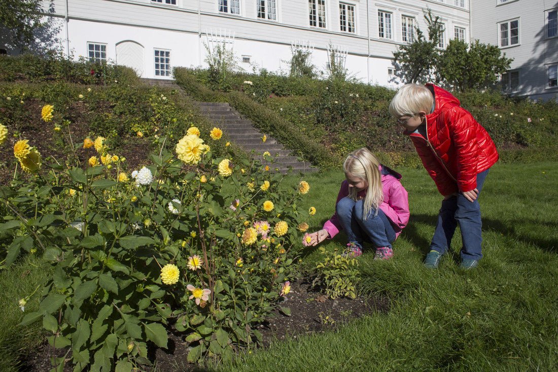 Barn som ser på blomster