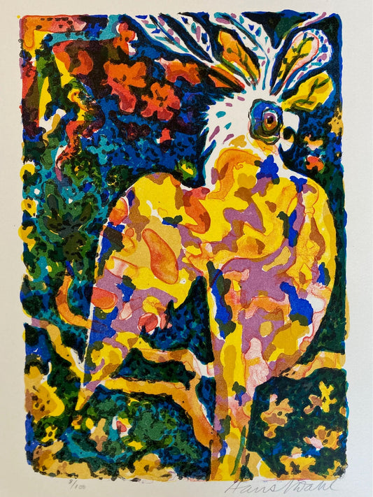 Hans Normann Dahl: Papegøye