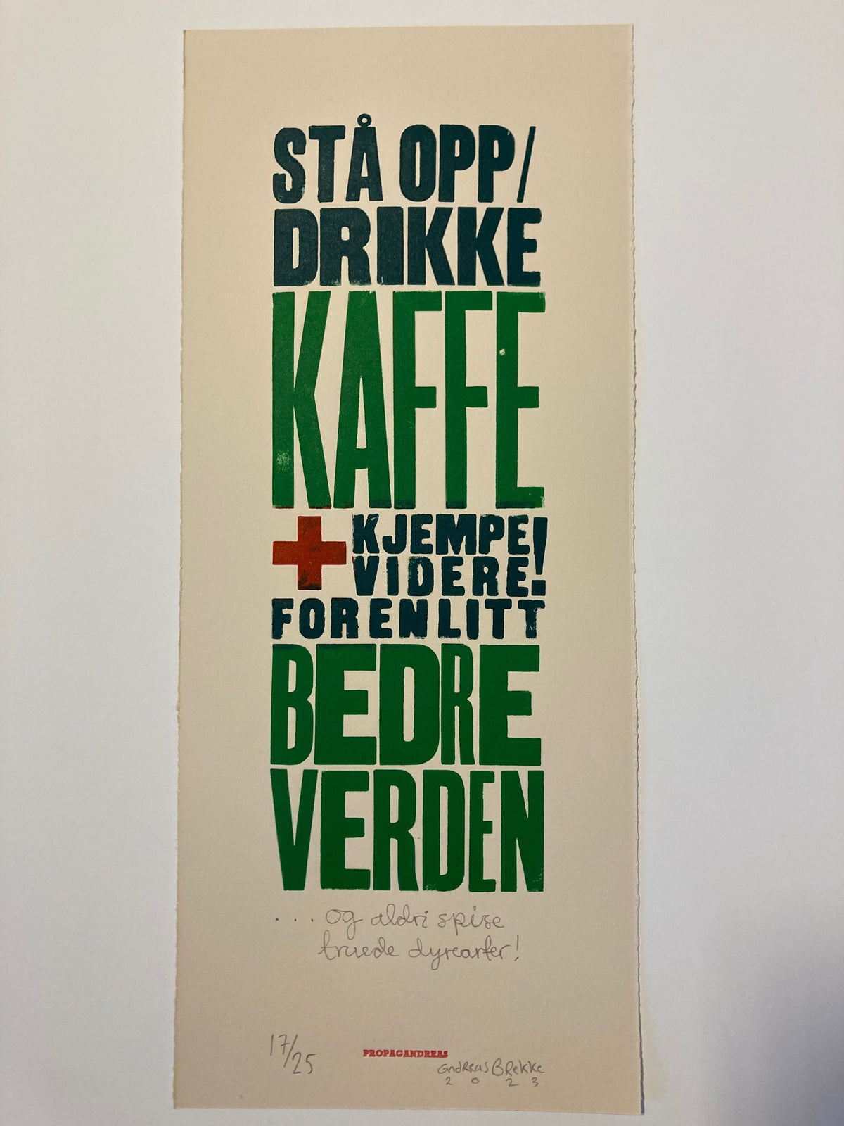 Andreas Brekke: Kjempe videre