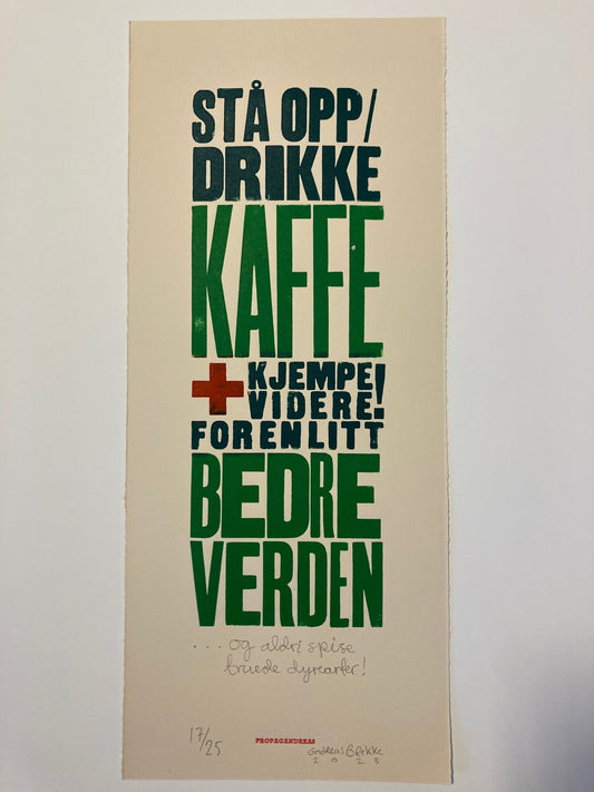 Andreas Brekke: Kjempe videre