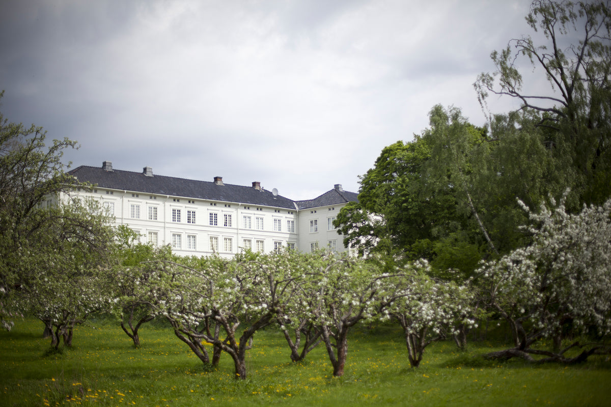 Hvitmalt herregård med epletrær foran.